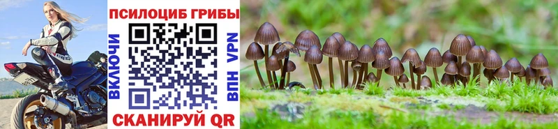 площадка официальный сайт  Вельск  Псилоцибиновые грибы ЛСД  мега онион 